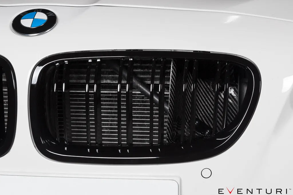 Eventuri Carbon Fibre Intake BMW M6 F1X